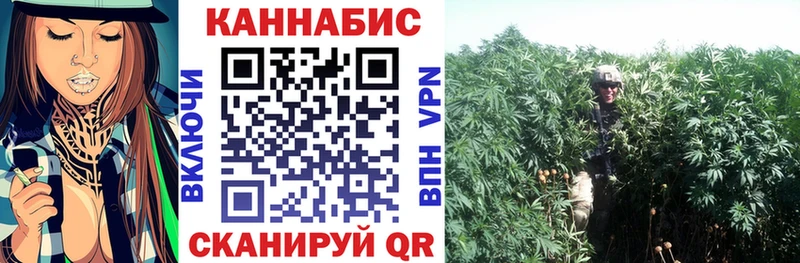 Виды наркоты Гвардейск СОЛЬ  Амфетамин  Бошки Шишки  Cocaine  Кодеин  Меф мяу мяу 