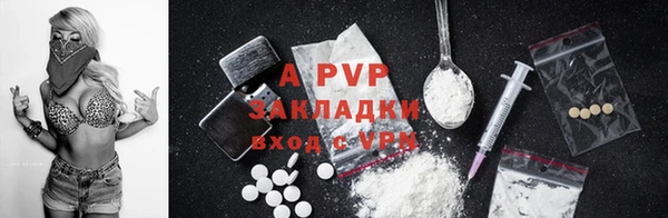 PSILOCYBIN Михайлов