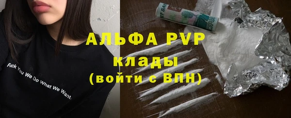 PSILOCYBIN Михайлов