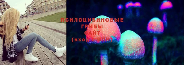 хмурый Михайловск