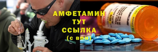 PSILOCYBIN Михайлов