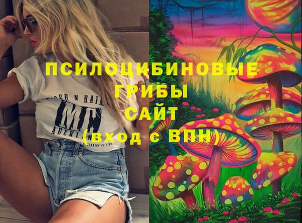 PSILOCYBIN Михайлов