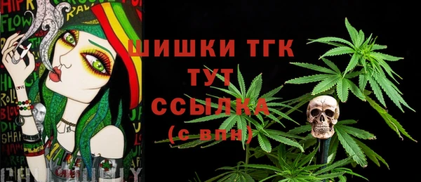 хмурый Михайловск