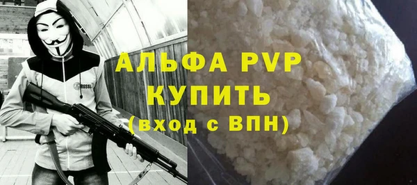 PSILOCYBIN Михайлов