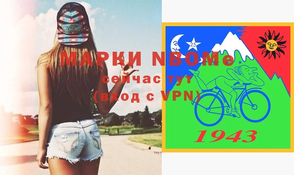 прущие грибы Гусиноозёрск